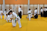 Otroški Aikido seminar na Ptuju