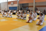 Otroški Aikido seminar na Ptuju