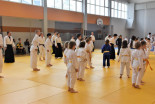 Otroški Aikido seminar na Ptuju