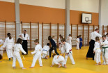 Otroški Aikido seminar na Ptuju