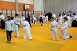 Otroški Aikido seminar na Ptuju