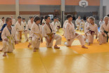 Otroški Aikido seminar na Ptuju