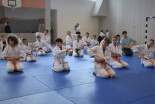 Otroški Aikido seminar na Ptuju