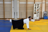 Otroški Aikido seminar na Ptuju