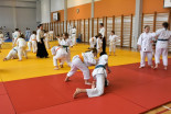 Otroški Aikido seminar na Ptuju
