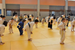 Otroški Aikido seminar na Ptuju