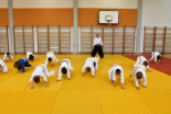 Otroški Aikido seminar na Ptuju