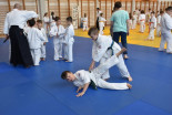 Otroški Aikido seminar na Ptuju