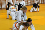 Otroški Aikido seminar na Ptuju