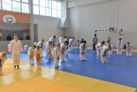 Otroški Aikido seminar na Ptuju