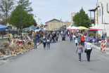 Povorka ob 25. občinskem prazniku Občine Sv. Jurij ob Ščavnici