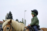 Vikend odprtih vrat Prleškega konjeniškega društva