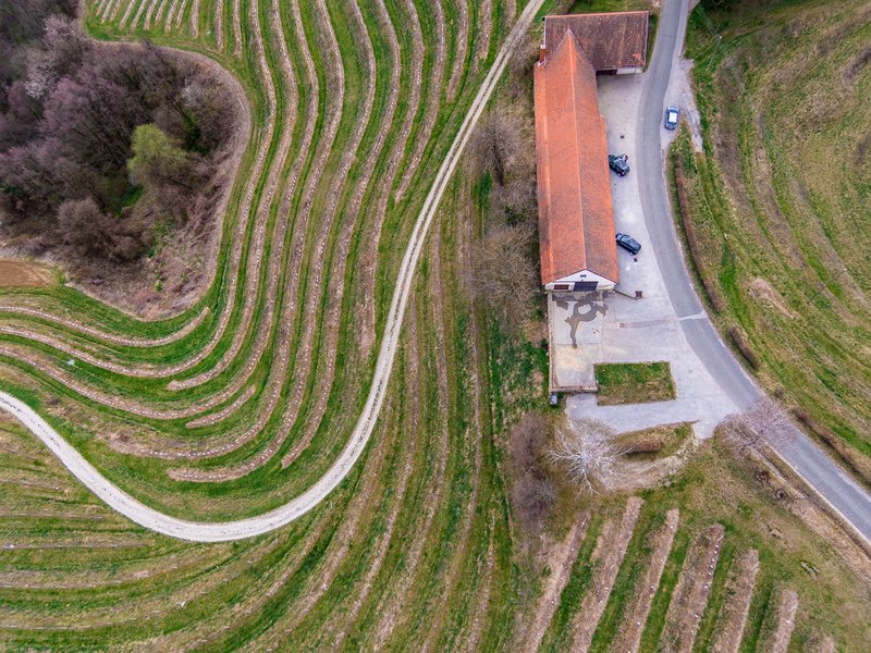 Vinogradi Jeruzalema