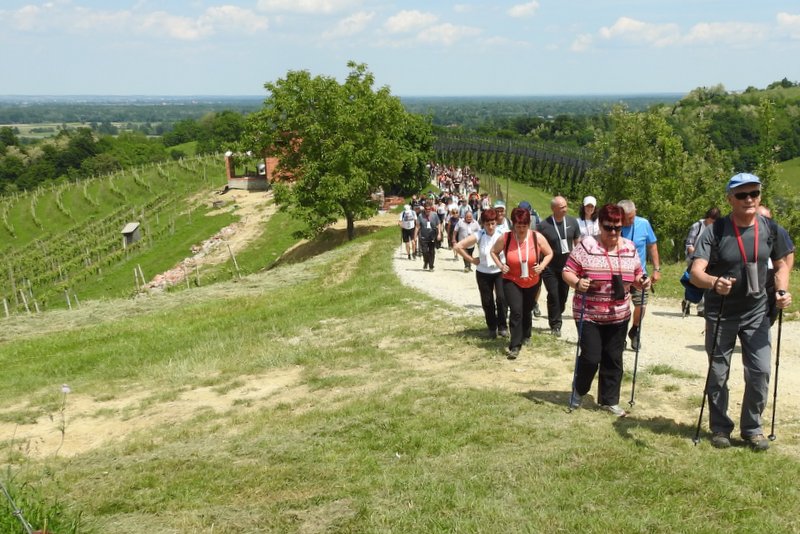 15. tradicionalni pohod Pomlad v prleških goricah