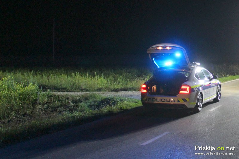 Policisti so bili obveščeni o pobeglih konjih, kateri so se gibali brez nadzora