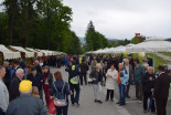 17. Tradicionalni čebelarski praznik