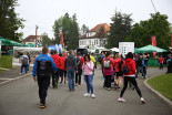 39. Maraton treh src