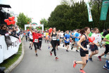 39. Maraton treh src