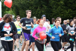 39. Maraton treh src