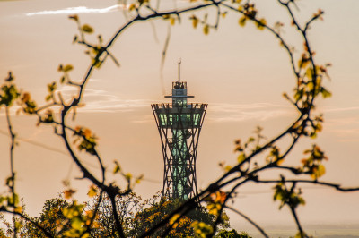 Stolp Vinarium, foto: Sara Vinkovič