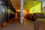 Odprtje butične vinske kleti Negotino