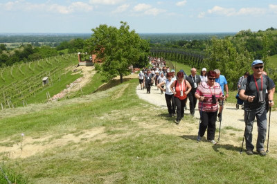 15. tradicionalni pohod Pomlad v prleških goricah