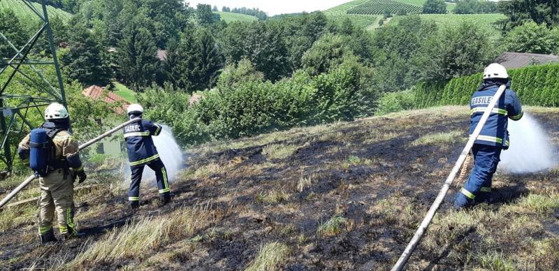 Požar so pogasili gasilci, foto: PGD Gornja Radgona