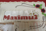 10 let Maximusa v Gornji Radgoni