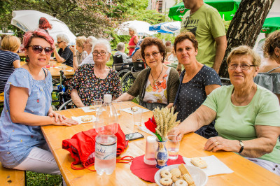 Tradicionalni piknik DSO Ljutomer