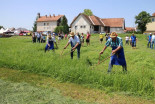 Ročna košnja v Oseku pri Sv. Trojici