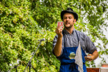 Tradicionalni piknik DSO Ljutomer