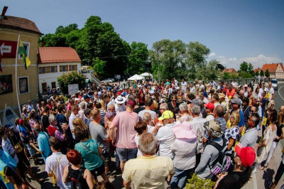 13. Dan odprtih kleti v Gornji Radgoni