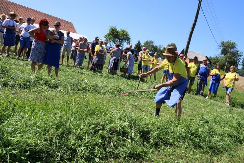 Ročna košnja na Vanetini