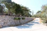 Goli otok