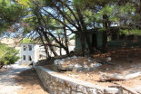 Goli otok