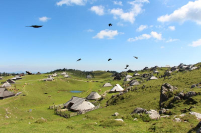 Velika planina