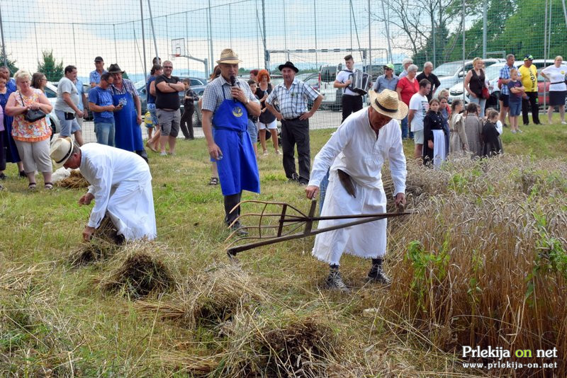 56. praznik žetve na Polenšaku