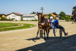 Kasaške dirke v Ljutomeru