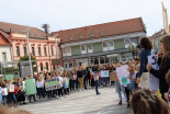 Podnebni štrajk v Ljutomeru