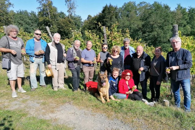 Likovna kolonija Vino in prijateljstvo 2019