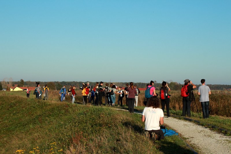 9. Pomurski ornitološki vikend