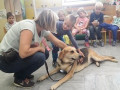 Obisk psičke Elli v vrtcu Mala Nedelja