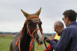 1. prleški endurance