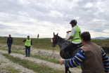 1. prleški endurance