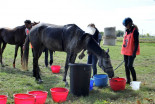 1. prleški endurance