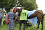 1. prleški endurance