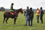 1. prleški endurance