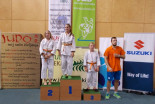 Judo Prlekija open