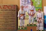 Judo Prlekija open