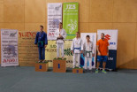 Judo Prlekija open